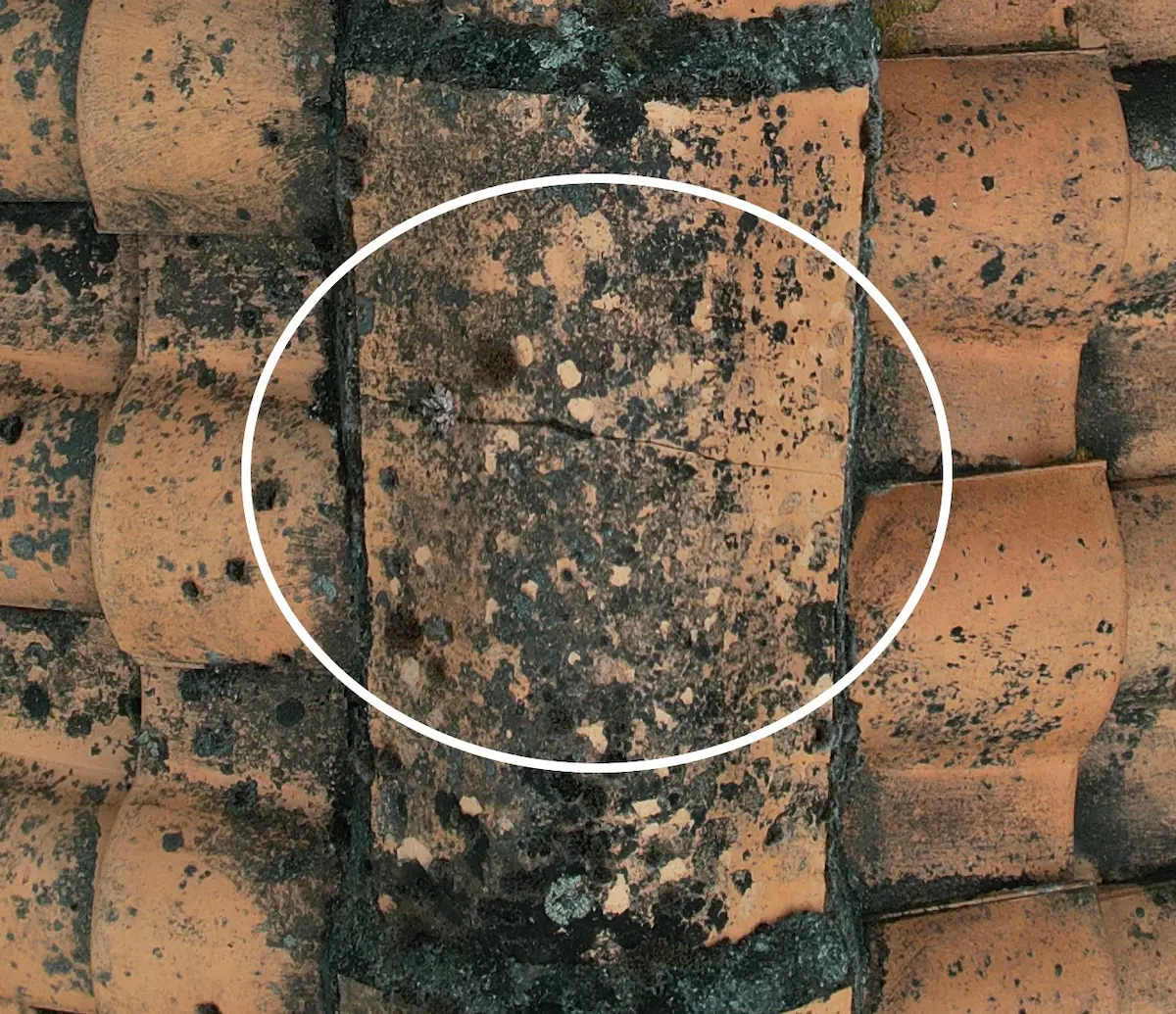 Zoom sur une zone à surveiller présentant une fissure et une dégradation localisée