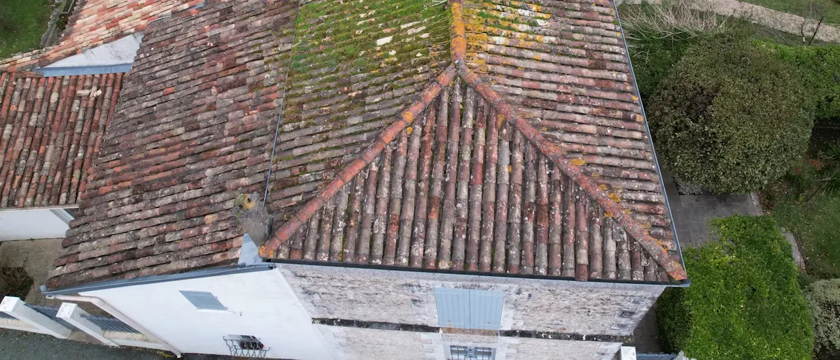 Vue globale de toiture par drone avant nettoyage